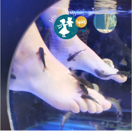 Fish pédicure 30mn duo image